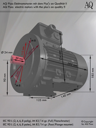 B3/14 gr Fuß/Flansch-Motor