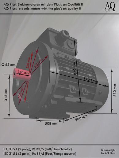 B3/5 Fuß/Flansch-motor