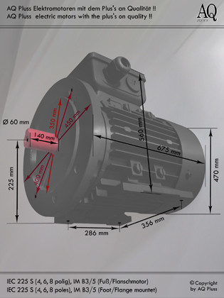 B3/5 Fuß/Flansch-Motor ( 4 polig)