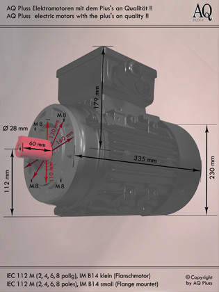 B3/14 gr Fuß/Flansch-Motor